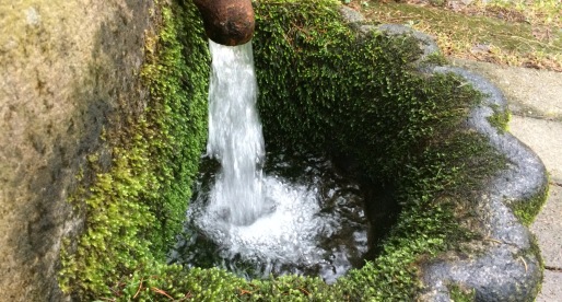 Fuori Praga: le acque cristalline di Santa Caterina.