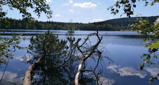 Fuori Praga: passeggiate, natura e vino a Kladska.