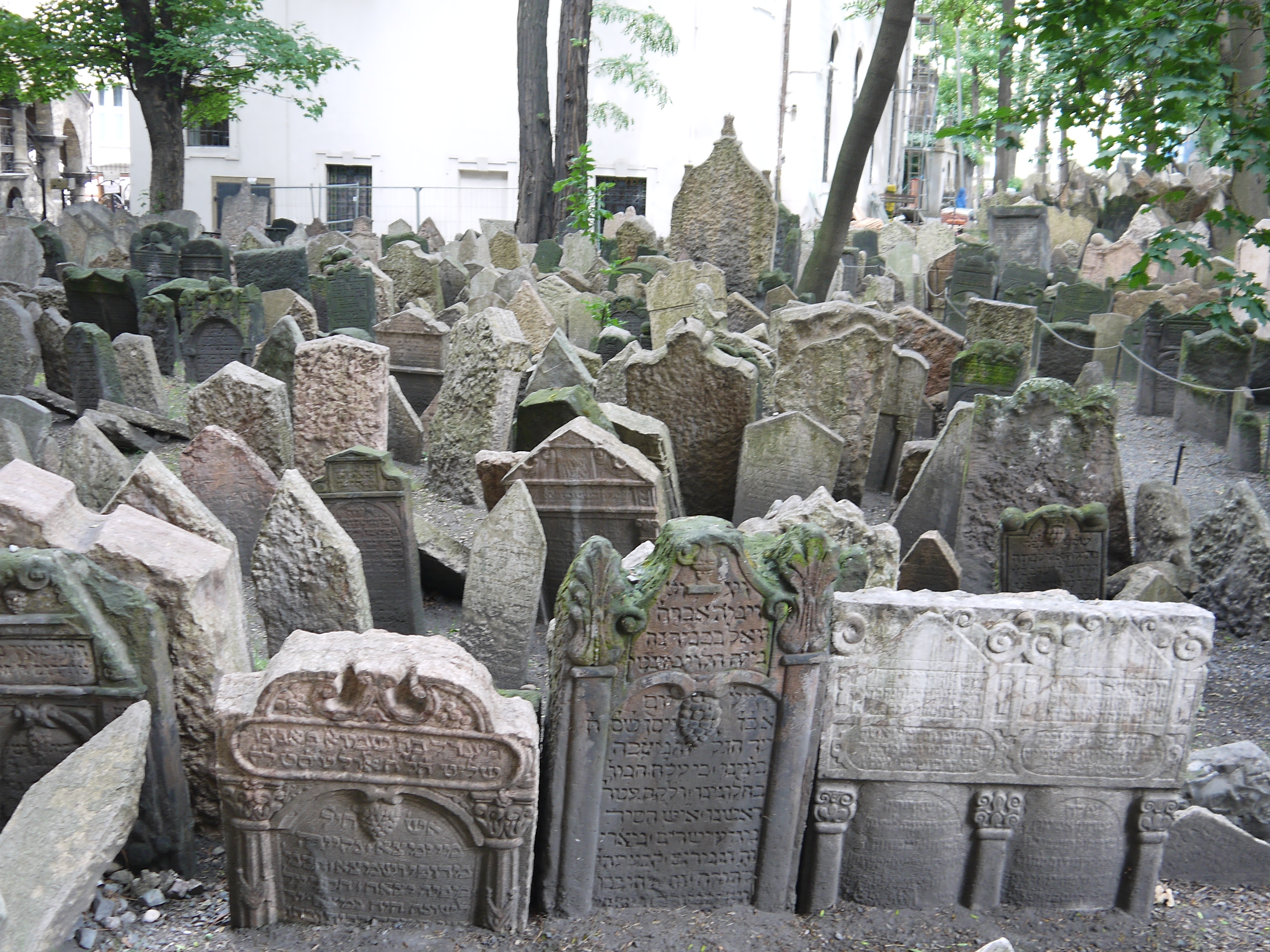 Il cimitero Ebraico di Praga al centro del quartiere Josevof.