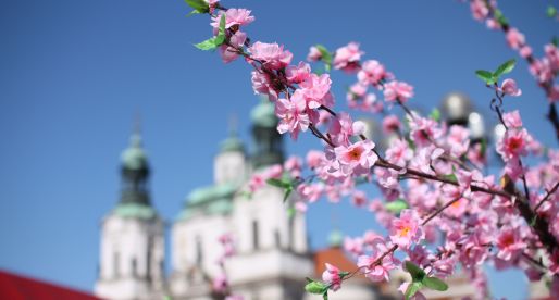 Le tradizioni di Pasqua a Praga (e dintorni).