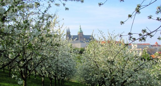 Primo Maggio a Praga tra musei, parchi e birra ceca!